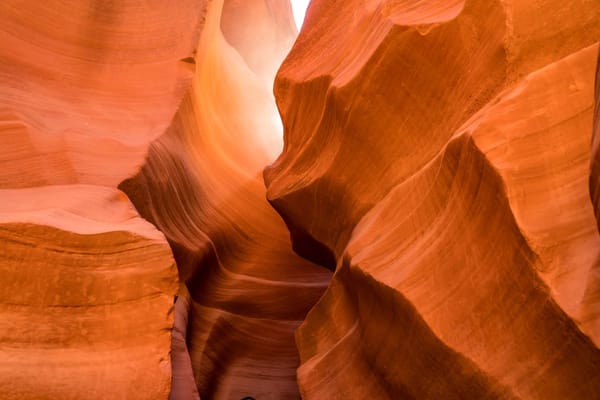 6 Actions a Manager Should Take to Support Their Team Members