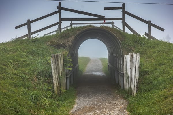 A Three Topic Article — Interviewing, Multiple Choice Management, and My Holiday Gift Guide