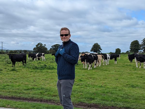 Stack Ranking, Ratings, PIPs, and Performance Management – A Summary