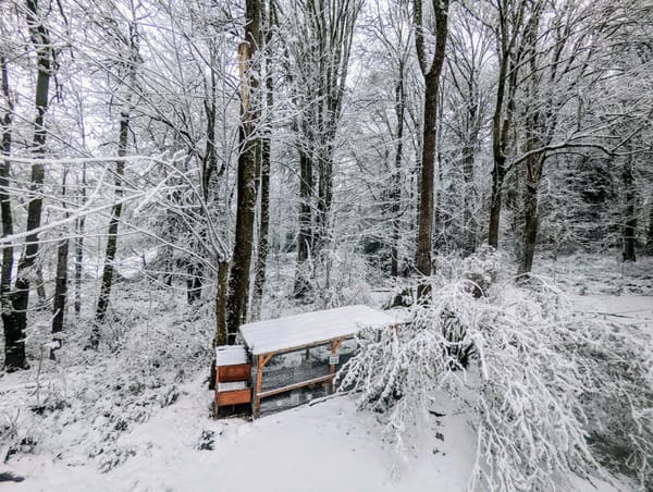 How to Increase the Agility of Your Organization, Improve Quality, and Reduce Costs