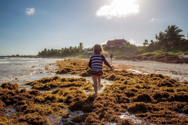 21 Terrible Interview Answers Guaranteed to Get You Rejected From That Job Opportunity