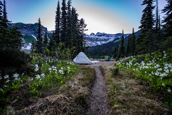 A Non-Coding Engineering Manager is One Thing, But What About Non-Technical?