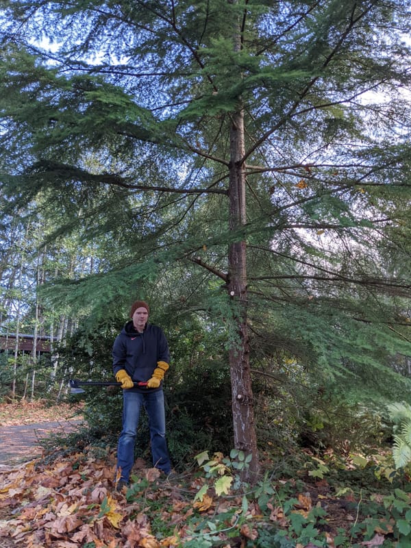 Enjoying My Break - Briefly Saying Hello