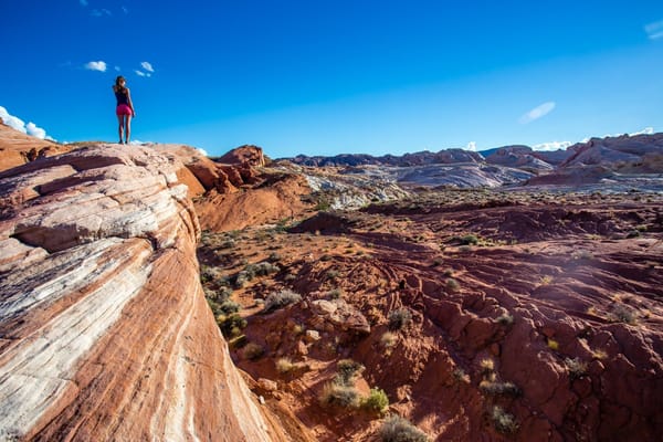 Why You Should Give Feedback — And How to Deliver It Without the Awkward Crying