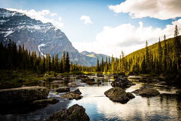 Big Companies Don’t Get Slower Because They Become Stupid