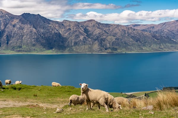 My Amazon Interview Loop — A Tech Director Remembers His Own Development Manager Interview