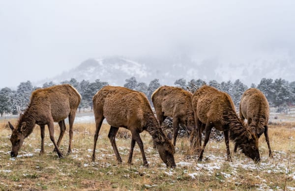 Your Boss Thinks You Suck. Now What?