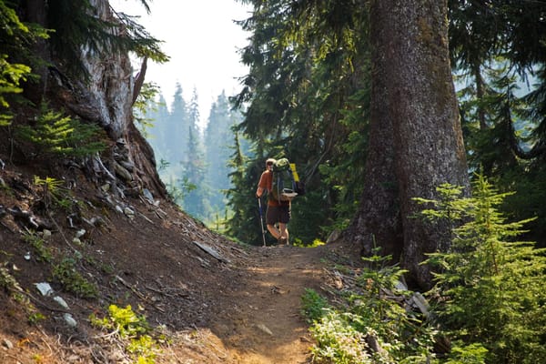 When Are Office Politics a Good Thing?