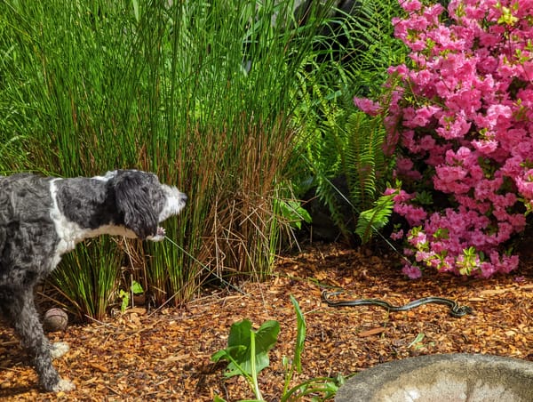 New Employee Ramp Up Costs – How to Improve the Experience