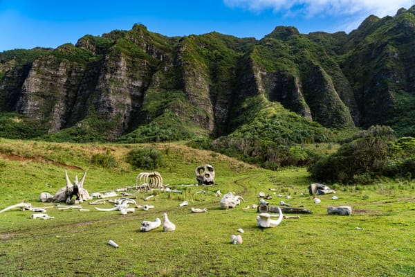 A Time When I Was Tricked Into Being Honest — Bringing Facts Into Work Discussions