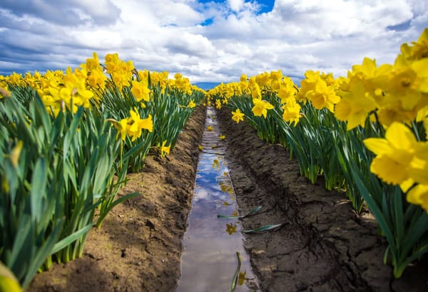 Achieve More by Doing Only One Thing a Day