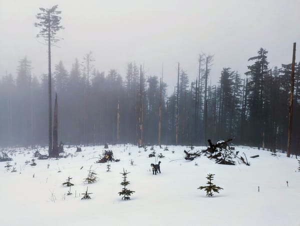 Unlearning at Scale: 3 Things That Led to My Success, But I Had to Drop on My Path to Director