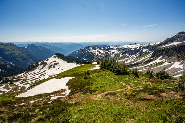 6 Mechanisms Which Drive Personal Career Success