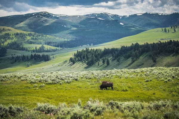 Insert Clickbait Title Here – Lessons After 1.5 years of Newsletter Authorship