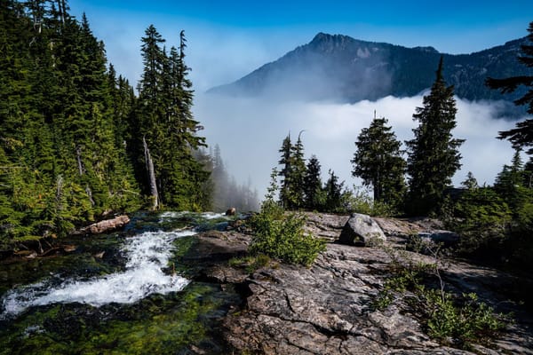 The Value of Clear and Concise Communication