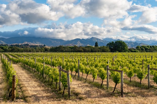 Do Jerks Get Hired For Management Roles, or Does Management Create Jerks?