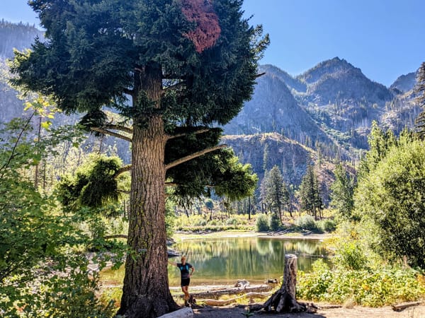 The Basics of Why Meritocracy Does Not Exist - The Power of Trust