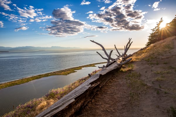 Why "They" Are Always Screwing Up: A Guide to Removing Enemies